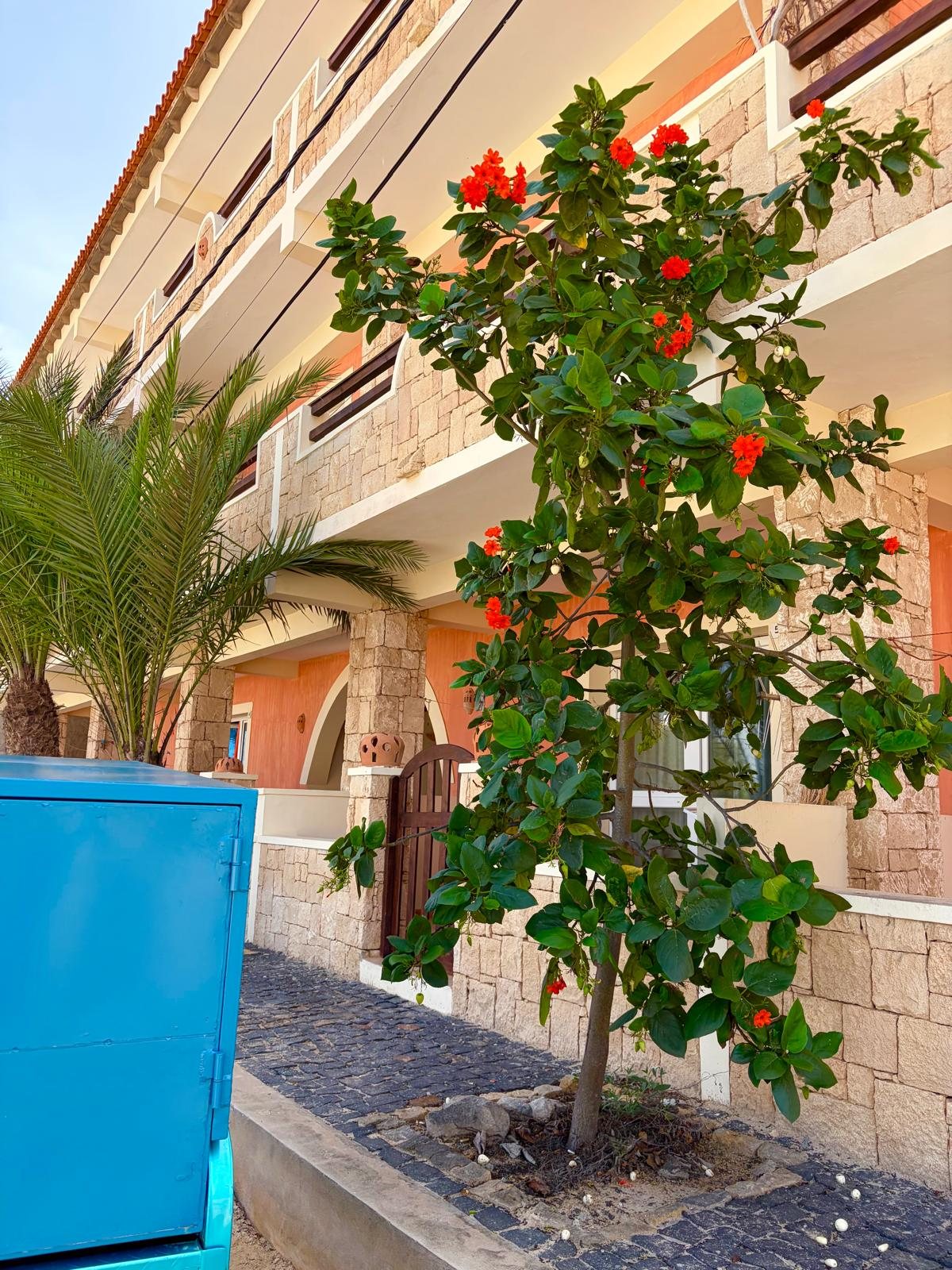 Blühender Baum mit roten Blüten vor der Fassade der Ferienwohnung